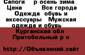 Сапоги 35 р.осень-зима  › Цена ­ 700 - Все города Одежда, обувь и аксессуары » Мужская одежда и обувь   . Курганская обл.,Притобольный р-н